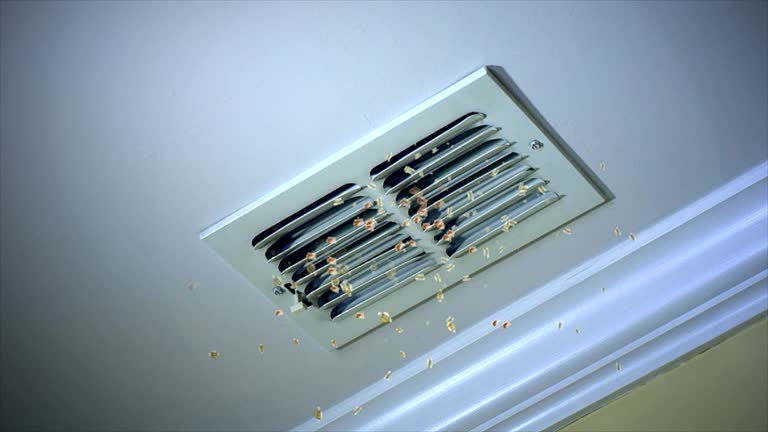 Best Ventilation Cleaning Services  in Payson, AZ