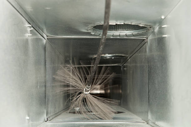Best Professional Duct Cleaning Services  in Payson, AZ
